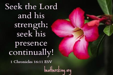 Seek the Lord and His strength